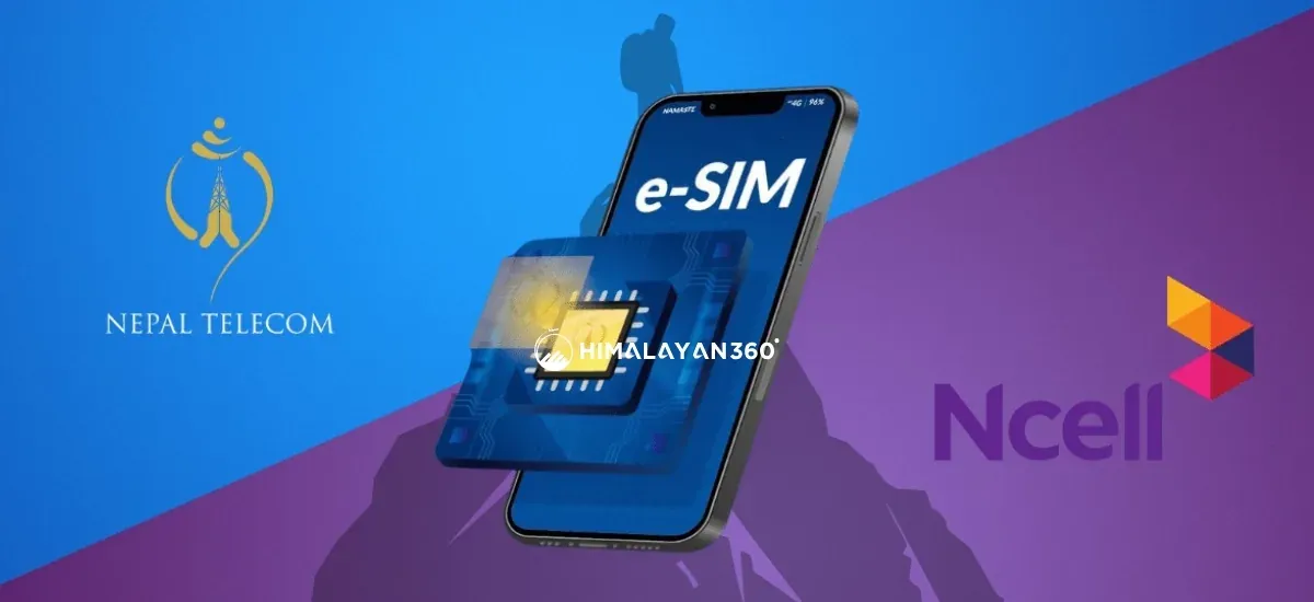 SIM Card