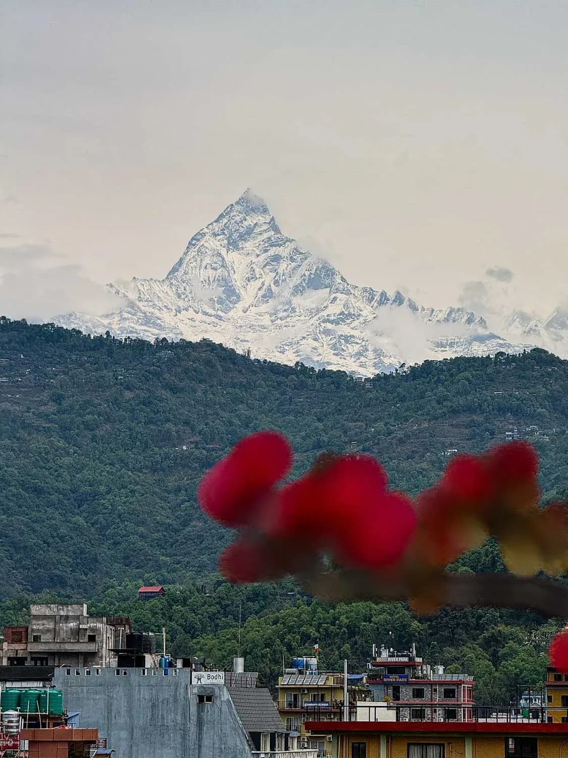 POKHARA'S FISHTAIL VIEW