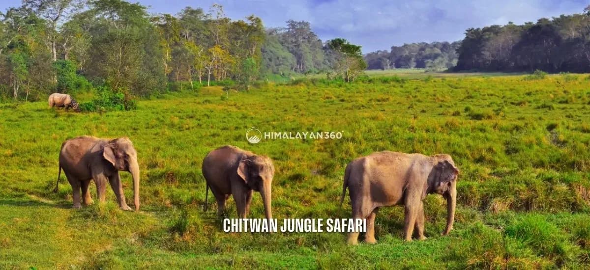 Nepal Tour Package - Chitwan Jungle Safari