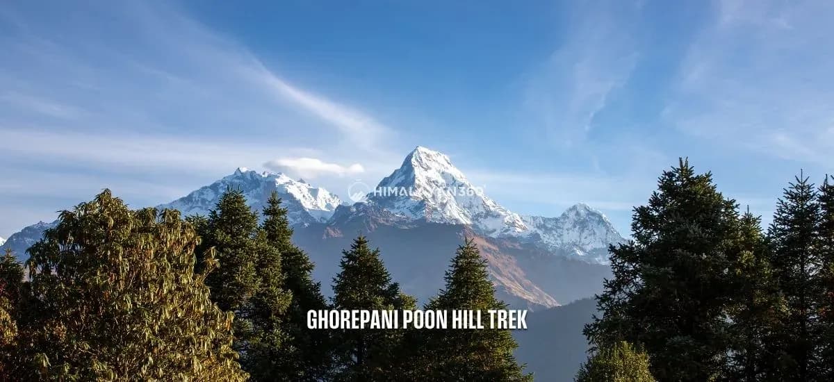 Ghorepani Poon Hill Trek