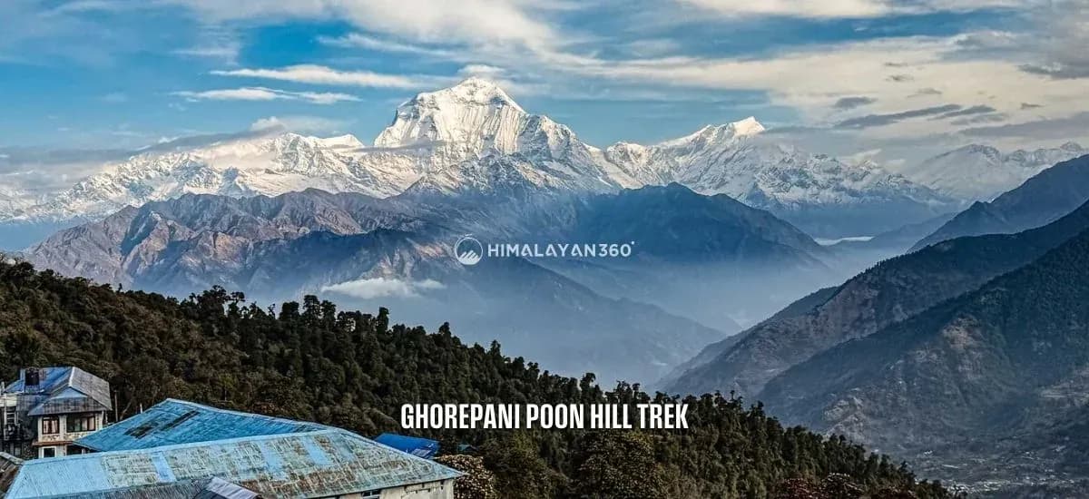 Ghorepani Poon Hill Trek
