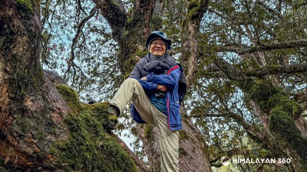 Trekkers from Taiwan climbing a trail through dense rhododendron forest during Poon Hill and Ghandruk Yoga Trek