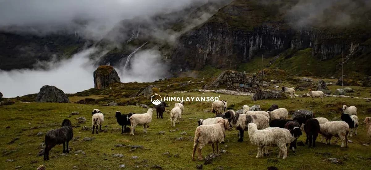 makalu barun national park