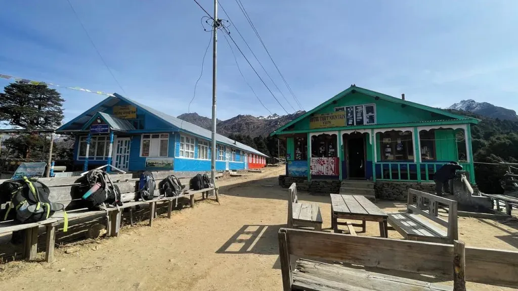 Lodges at Cholangpati, Langtang Lirung behind