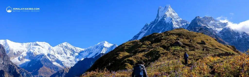 Mardi Himal Trek Guide With Full Of Information