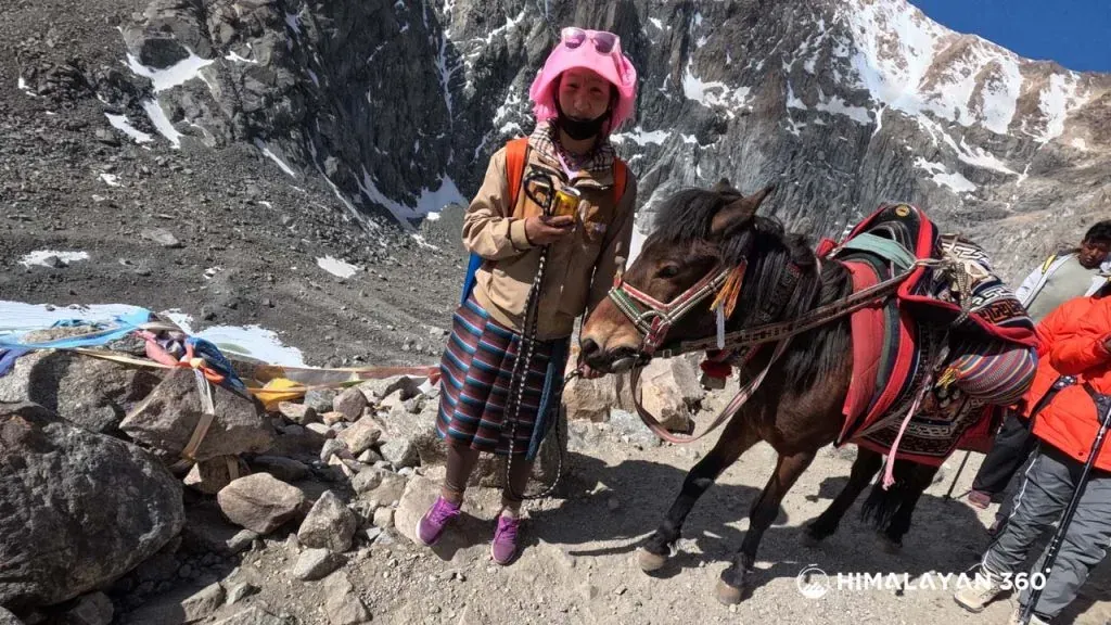 Horse caring the travellers up to Dormala pass of Kailash Kora.
